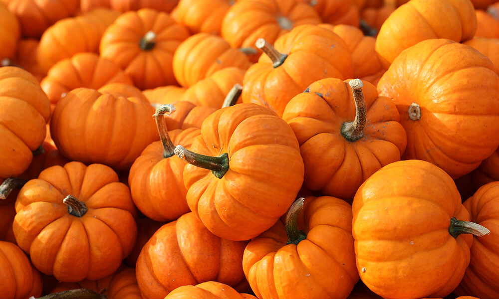 pumpkin products